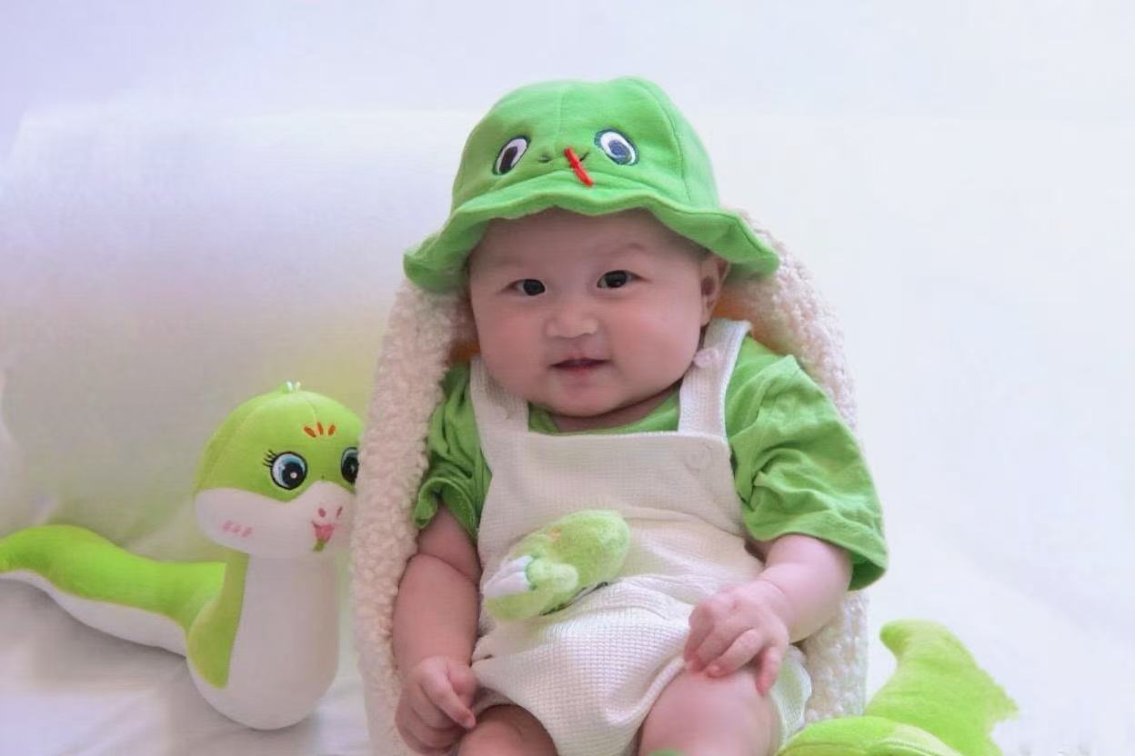 小小蛇宝